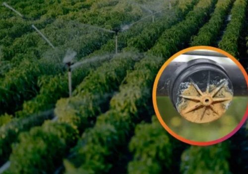 Lush field sprinkler irrigation with an inset image showing a clogged drip emitter nozzle filled with limescale.