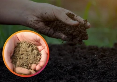 Hands holding soft, moist, nutrient-rich dark soil compared to dry, hard-packed earth.