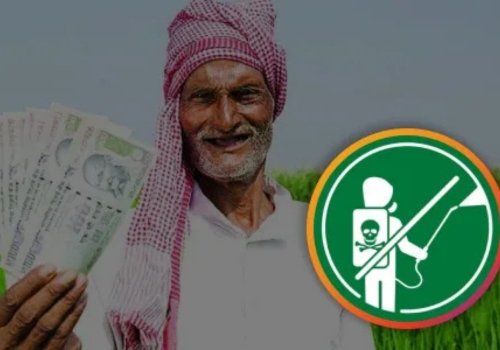 Happy Indian farmer holding currency notes next to a cross-out symbol on chemical pesticide sprayers.